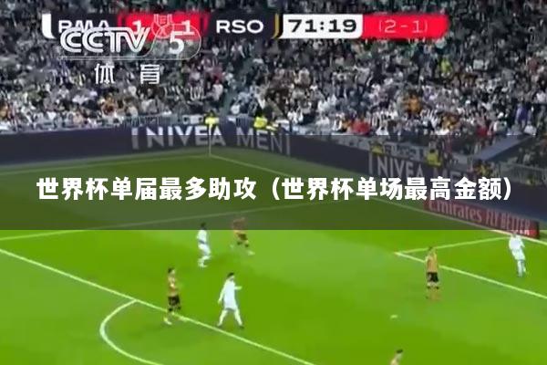 世界杯单届最多助攻（世界杯单场最高金额）