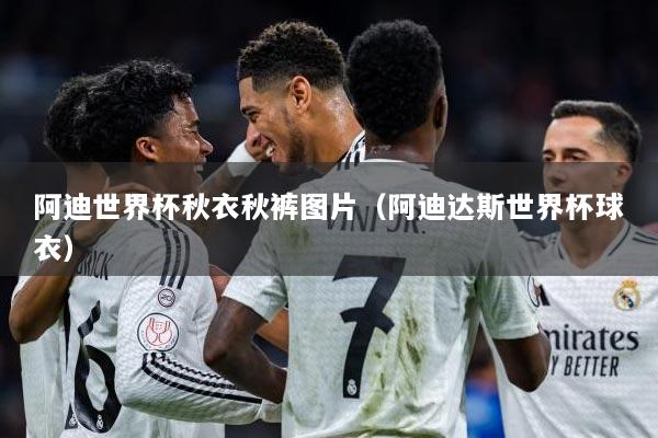 阿迪世界杯秋衣秋裤图片（阿迪达斯世界杯球衣）
