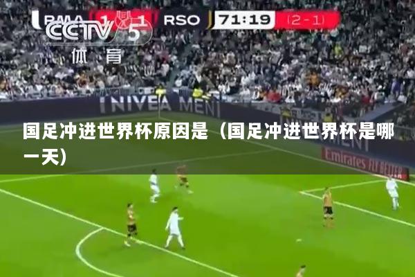 国足冲进世界杯原因是（国足冲进世界杯是哪一天）
