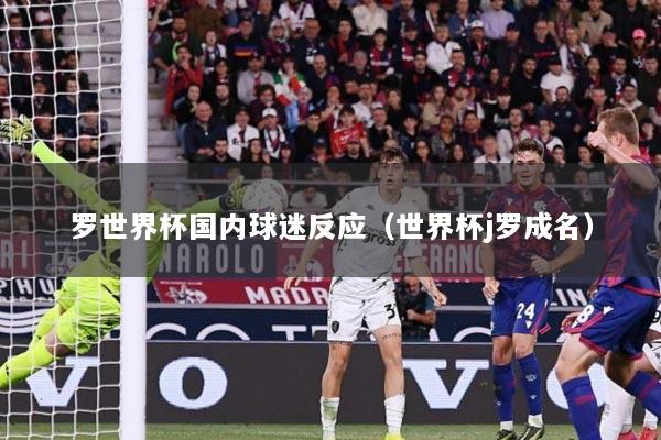 罗世界杯国内球迷反应（世界杯j罗成名）