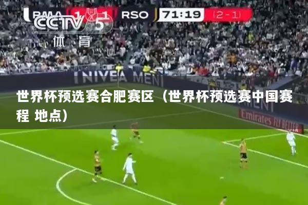 世界杯预选赛合肥赛区（世界杯预选赛中国赛程 地点）