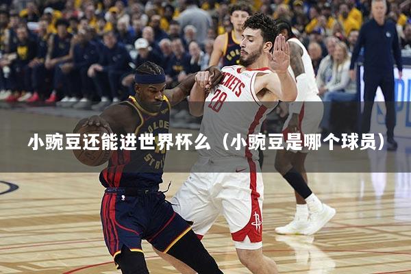 小豌豆还能进世界杯么（小豌豆是哪个球员）