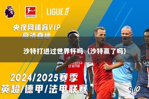 沙特打进过世界杯吗（沙特赢了吗）