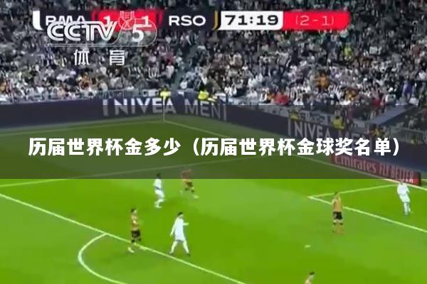 历届世界杯金多少（历届世界杯金球奖名单）
